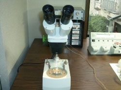 �������i���{�j