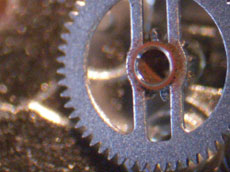 顕微鏡で見た中の状態1