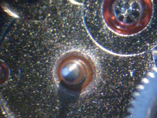 顕微鏡で見た中の状態2